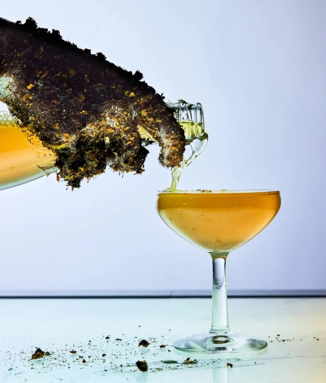 Snow Chrysanthemum Non-Alcoholic Fermented Tea