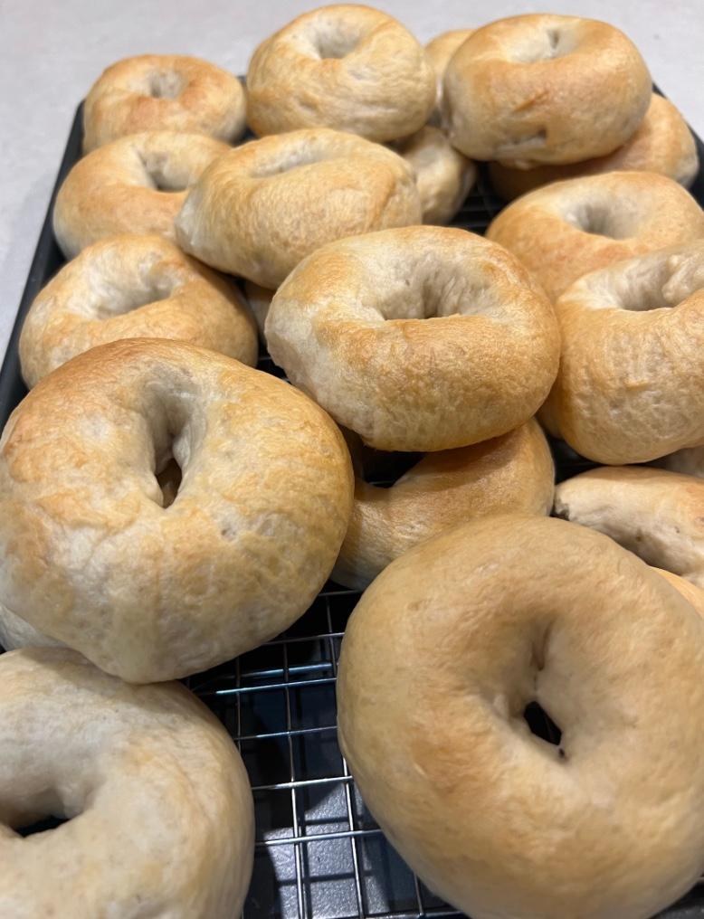 Cultured Crumb Plain Sourdough Bagels 6-ct