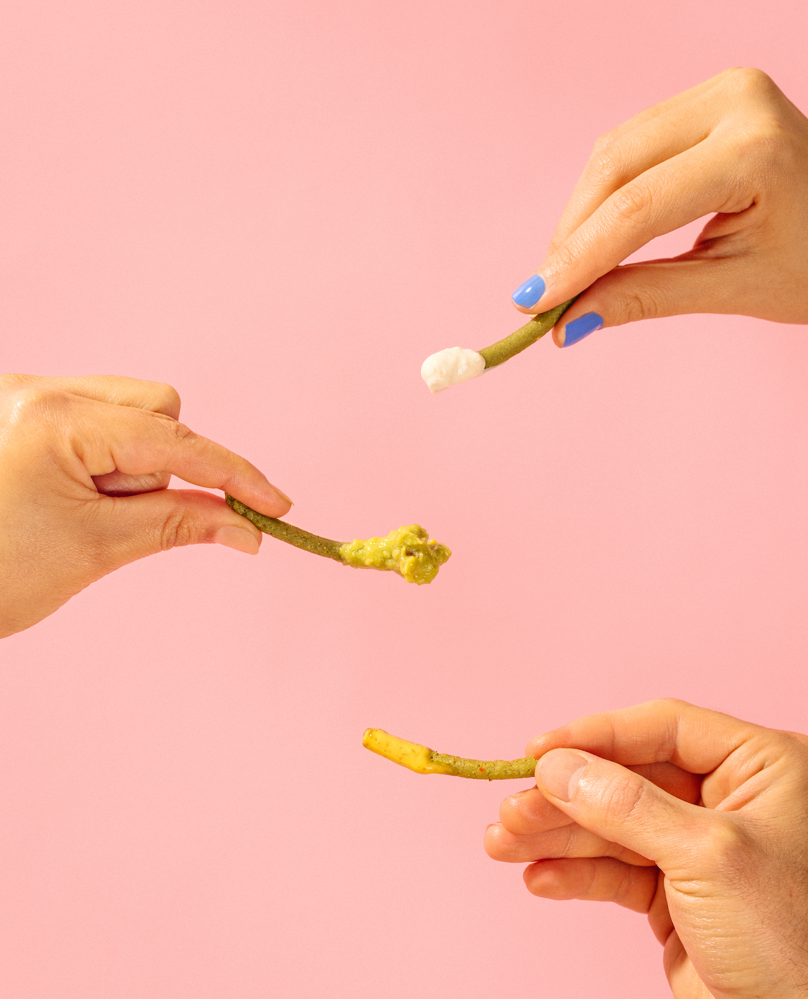 Mexican Lime - Crunchy Nopales Cactus Nemi Snacks