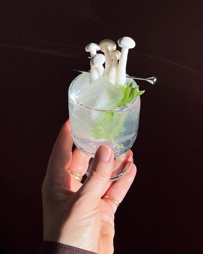 Aplos Ease Functional Non-Alcoholic Spirit