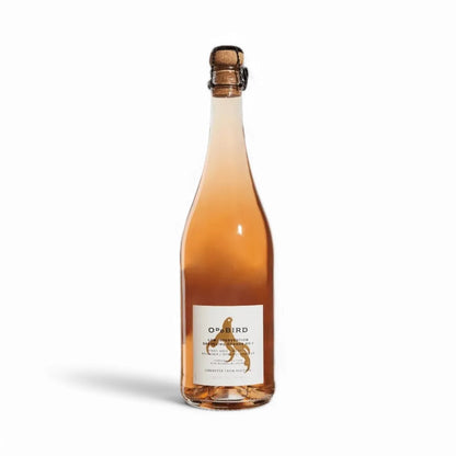 Oddbird Low Intervention Sparkling Orange Wine
